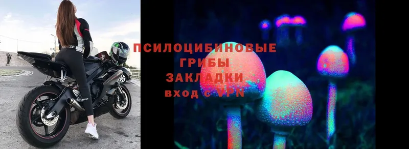 закладка  Дрезна  mega онион  Галлюциногенные грибы MAGIC MUSHROOMS 